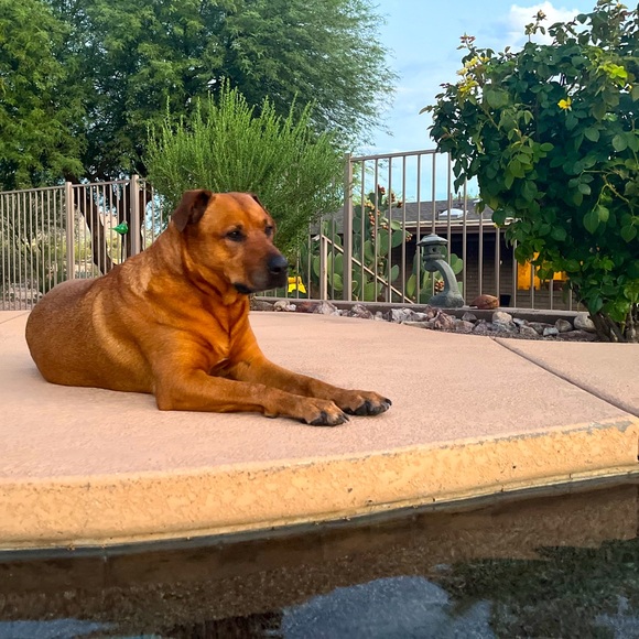 Meet your Posher, Erika - Picture 2 of 2